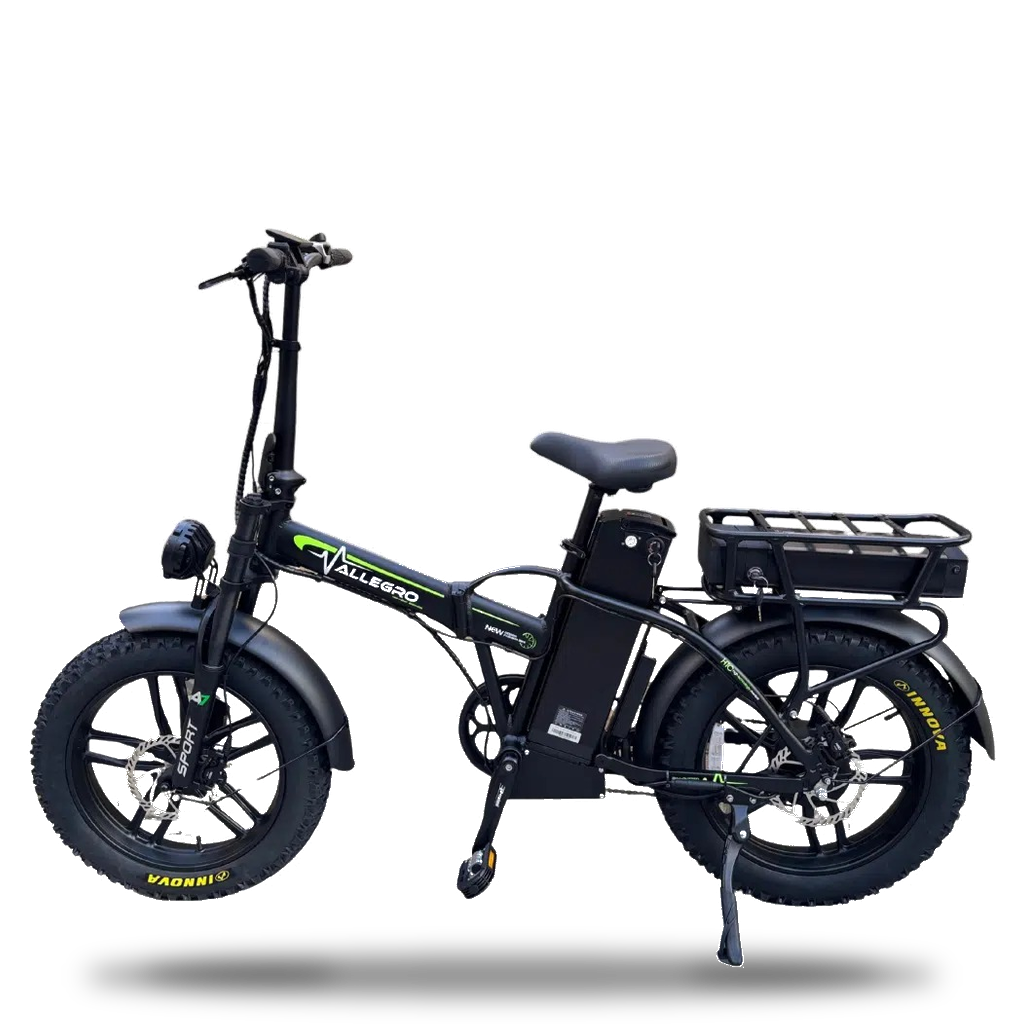 Allegro Heavy Delivery Electric Bike
